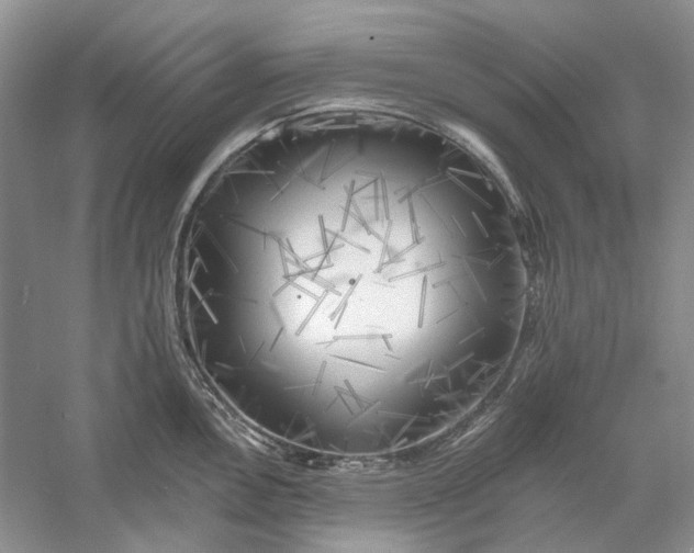 X0000060561146200511171558