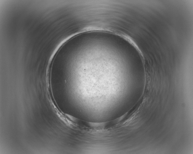 X0000060561148200511171558