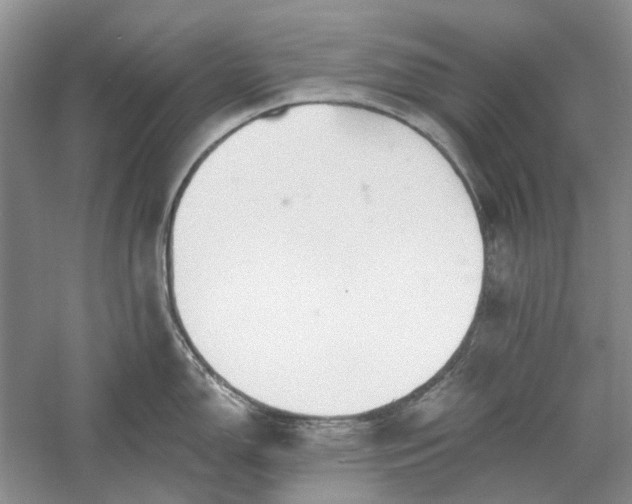 X0000060561150200511171558