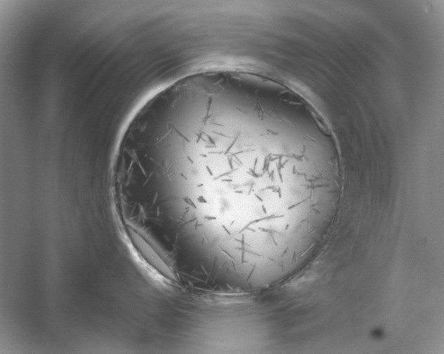 X0000060561152200511171558