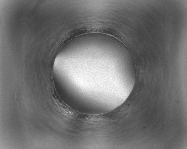 X0000060561153200511171558