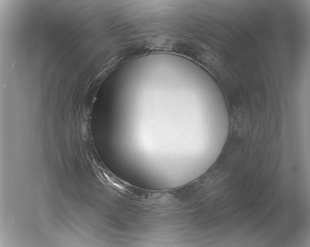 X0000060561154200511171557