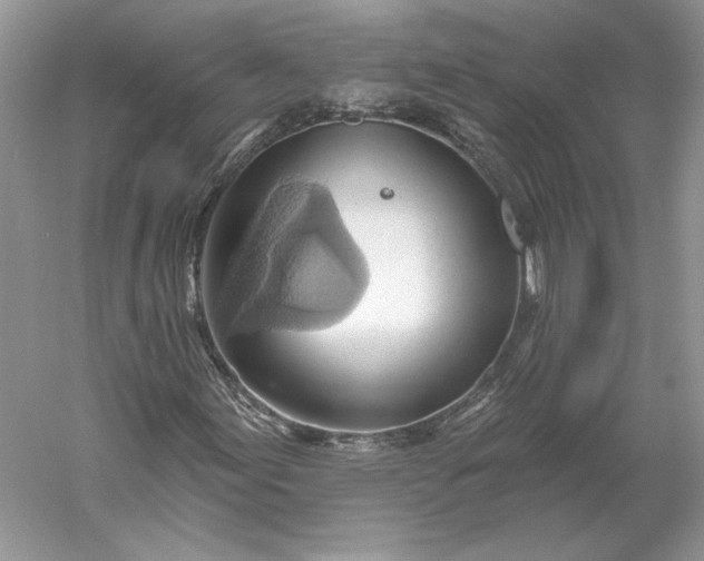 X0000060561155200511171557