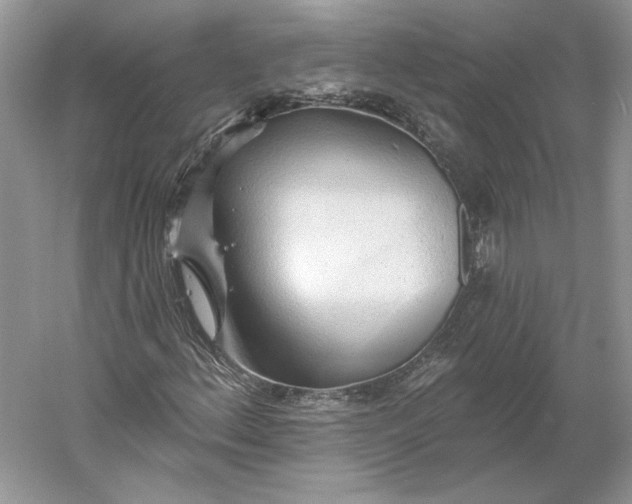 X0000060561156200511171557