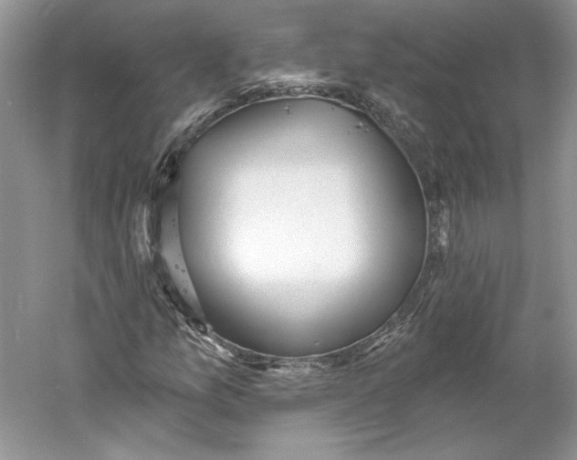 X0000060561157200511171557