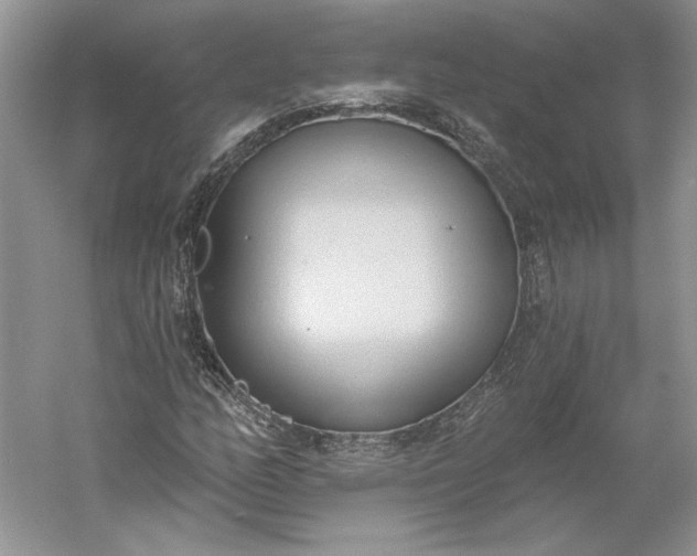 X0000060561158200511171557