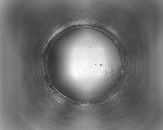 X0000060561160200511171557