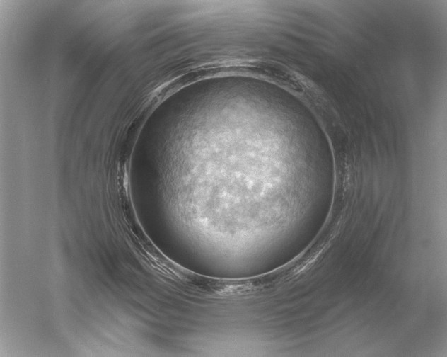 X0000060561161200511171557