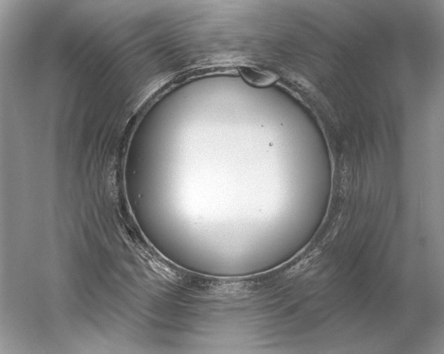 X0000060561162200511171557