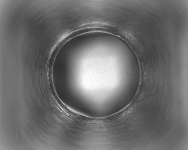 X0000060561164200511171557