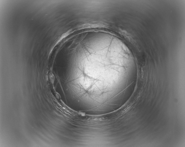 X0000060561165200511171557