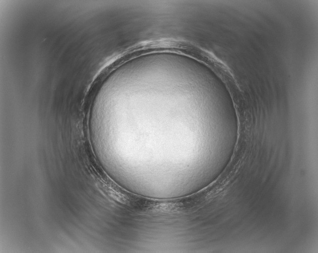 X0000060561166200511171557