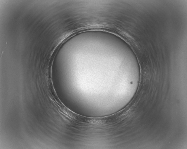 X0000060561170200511171557