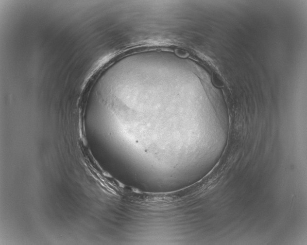 X0000060561171200511171557