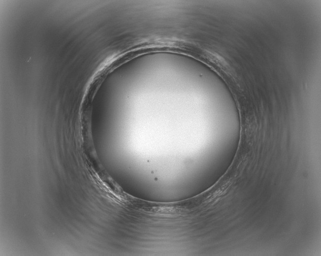 X0000060561172200511171557