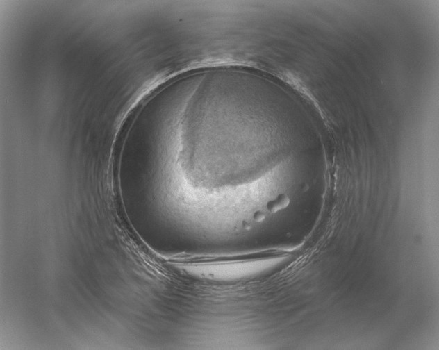 X0000060561173200511171557