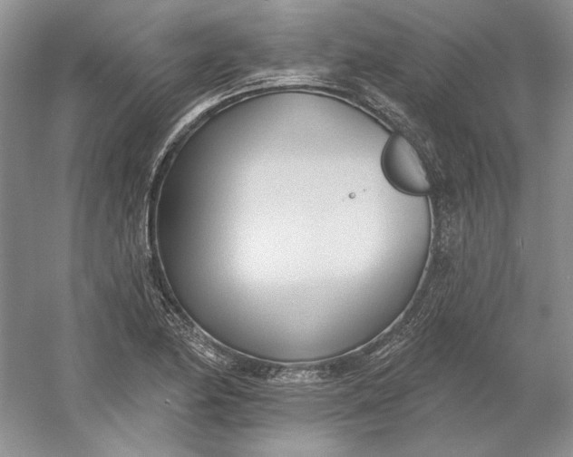 X0000060561174200511171557