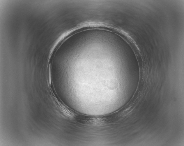 X0000060561175200511171557