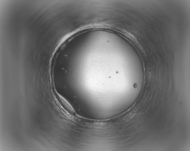 X0000060561176200511171557