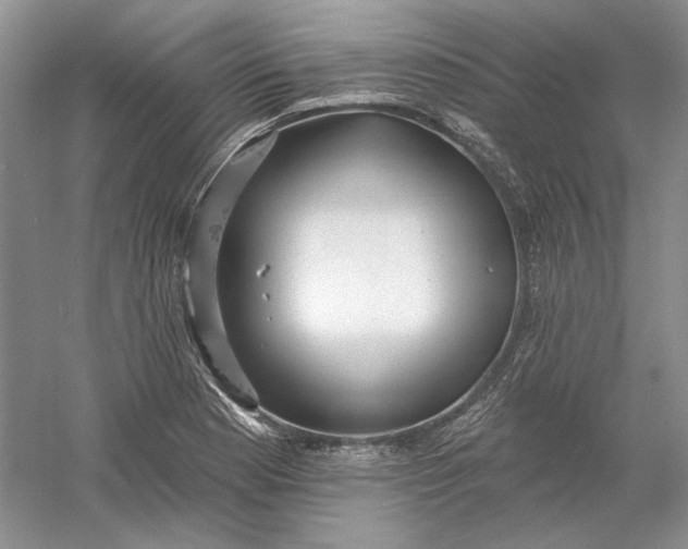 X0000060561177200511171557