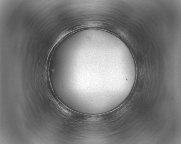 X0000060561178200511171557