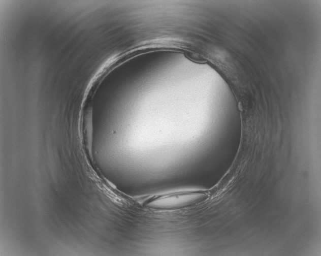 X0000060561180200511171557