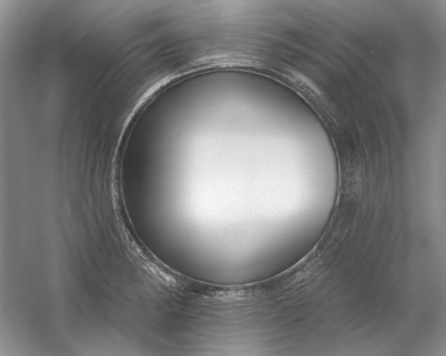 X0000060561182200511171557