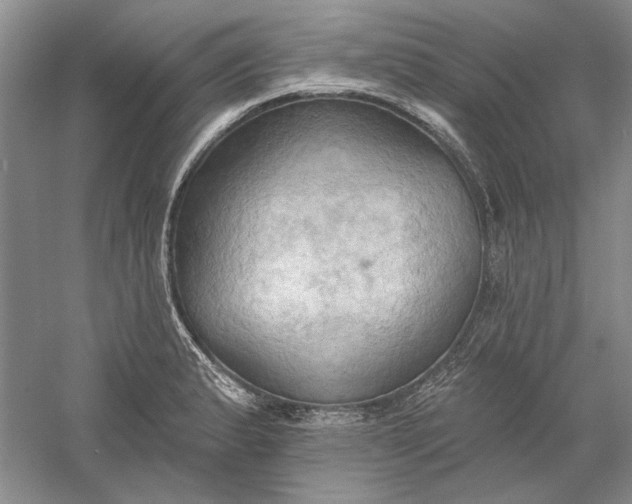 X0000060561183200511171557