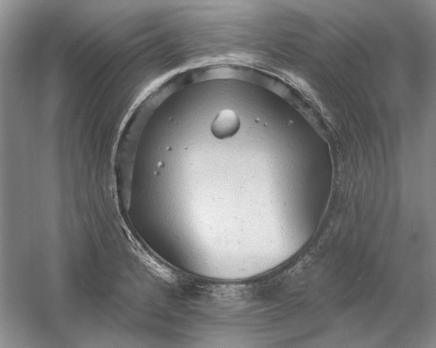 X0000060561184200511171557