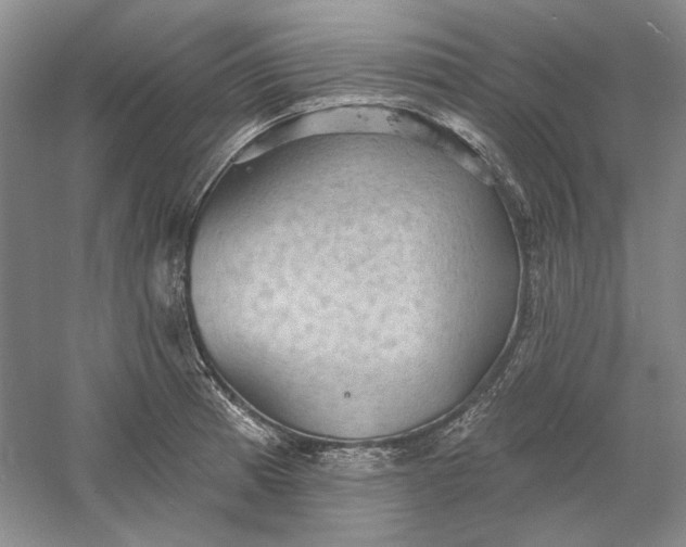 X0000060561185200511171557