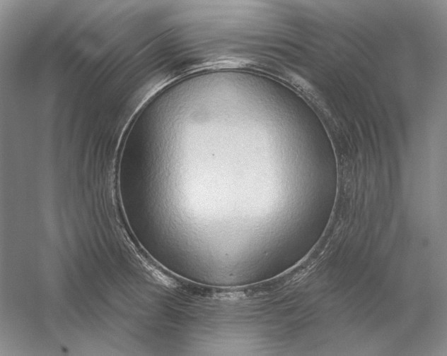 X0000060561186200511171557