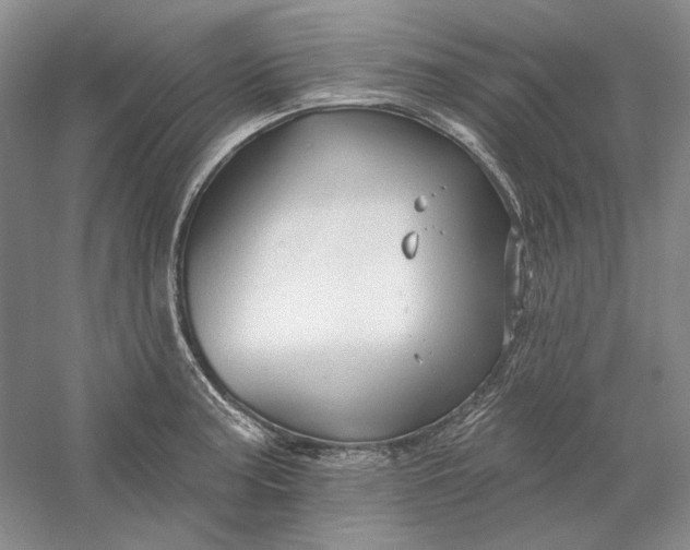 X0000060561187200511171557