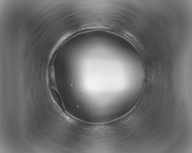 X0000060561188200511171557