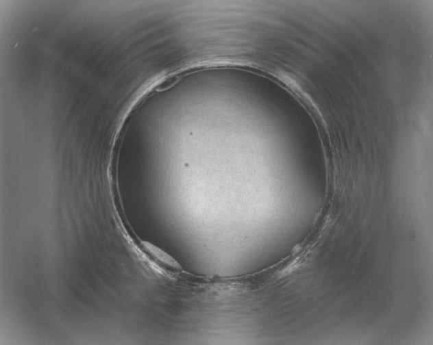 X0000060561189200511171557