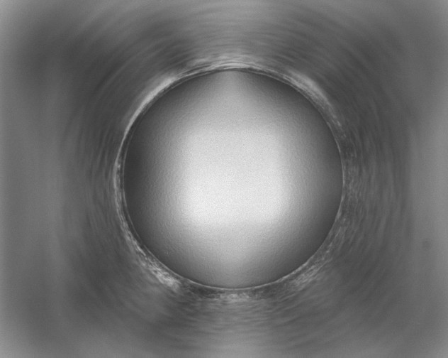 X0000060561190200511171557