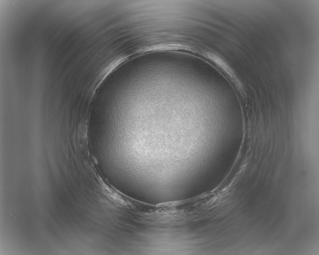 X0000060561193200511171557