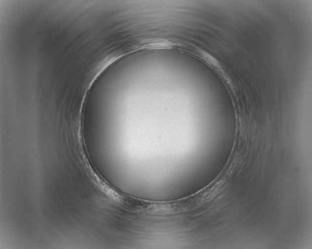 X0000060561194200511171557