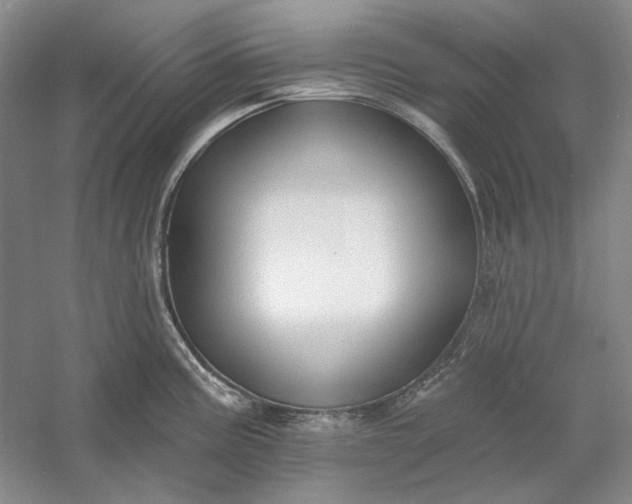 X0000060561195200511171557