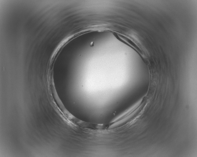 X0000060561196200511171557