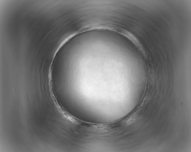 X0000060561198200511171557