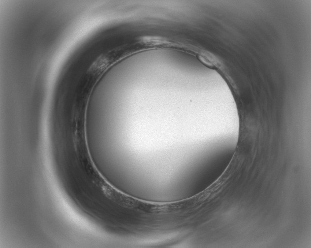 X0000060561199200511171557