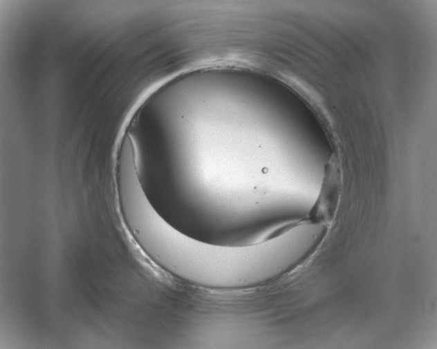 X0000060561200200511171557