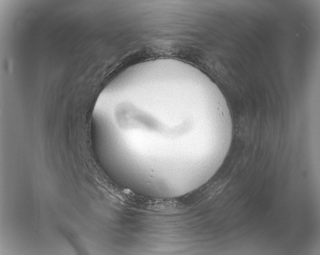 X0000060561201200511171556