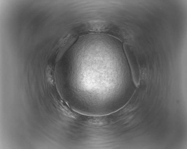 X0000060561202200511171556