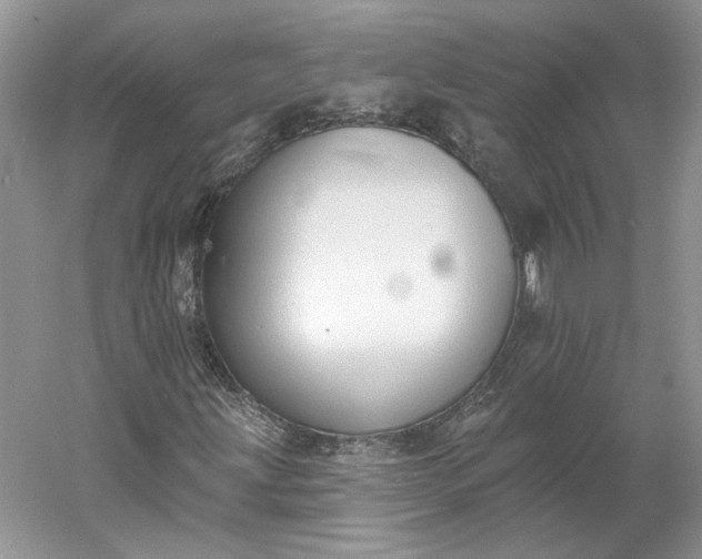 X0000060561203200511171556