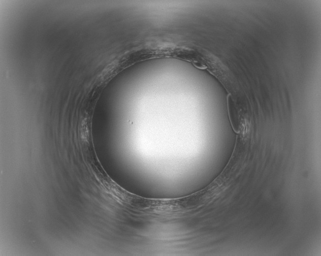 X0000060561204200511171556