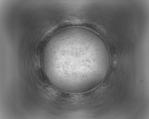 X0000060561205200511171556