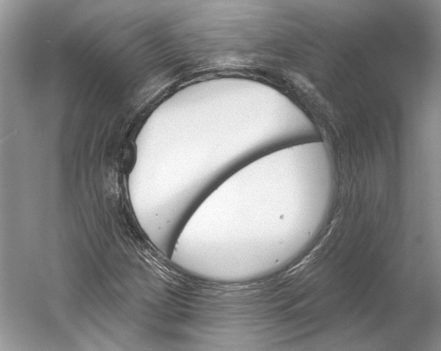 X0000060561209200511171556