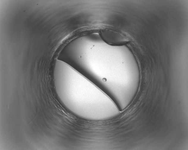 X0000060561210200511171556