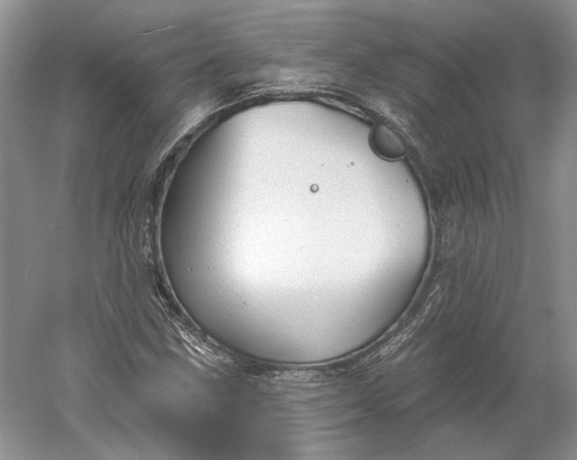 X0000060561211200511171556